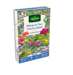 Floraison Rapide - 25 m² - Mélange de fleurs